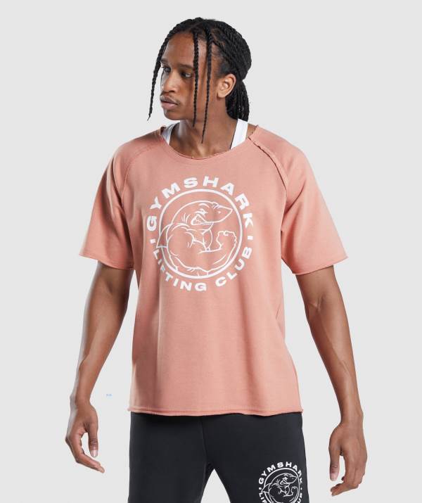 Panske Tricka Gymshark Legacy Rag Top Ruzove | GS4891632